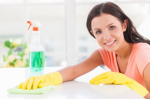 Regular cleaning service for a home in NW2