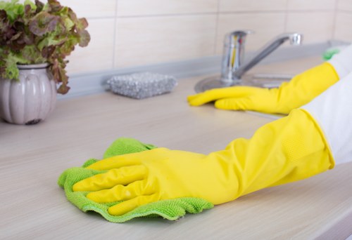 Local carpet cleaning setup for pet odour removal in NW2