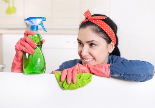 Professional gutter cleaning for commercial and residential properties in NW2