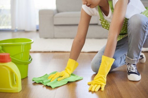 Cleaning professional reviewing liability and service conditions paperwork