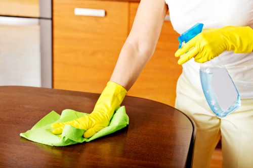 Upholstery cleaning equipment used on a fabric sofa